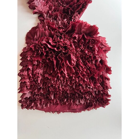 ASOS LUXE Oxblood Red Pleated Ruffle Plunge Neck Mini Halter Dress, Size 10 - Picture 8 of 16